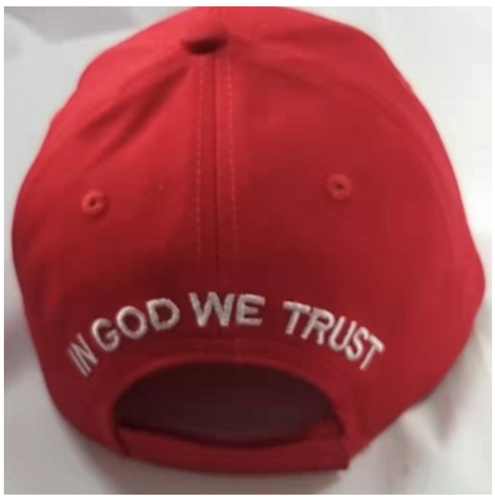 In God We Trust Cap