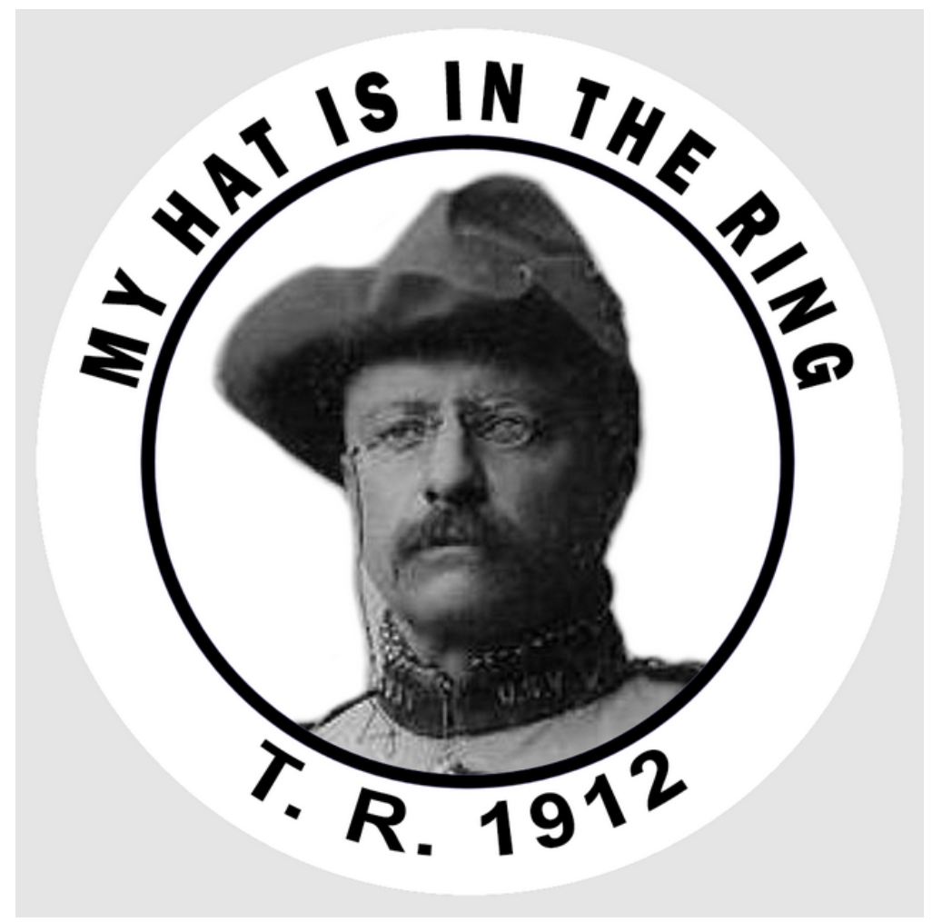 T.R. 1912 button